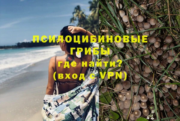 соль ск Алексин