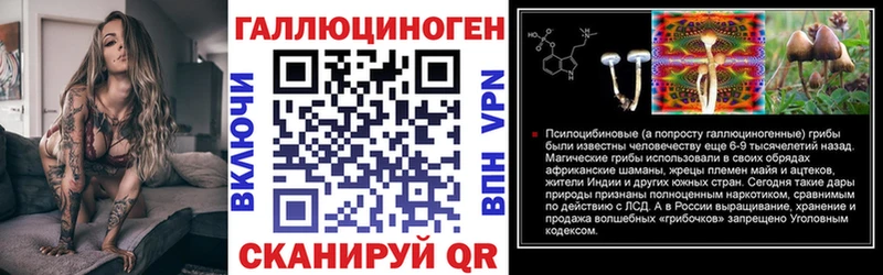 даркнет сайт  Ковров  Галлюциногенные грибы Magic Shrooms 